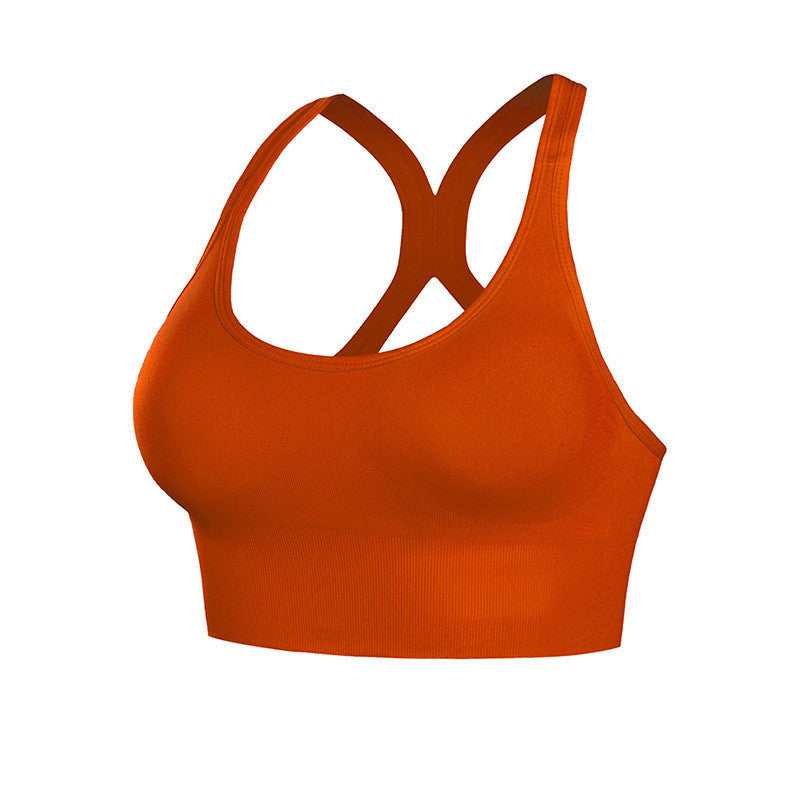 ShockProof Sports Bra